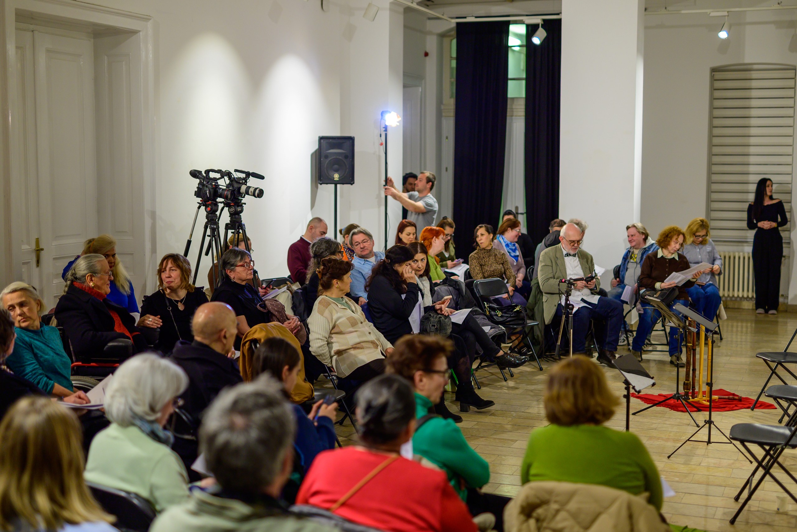 Publika na koncertu Dan rane muzike